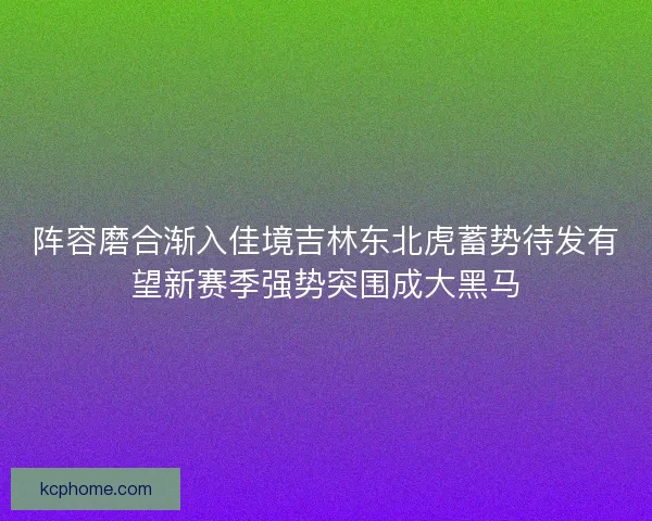 阵容磨合渐入佳境吉林东北虎蓄势待发有望新赛季强势突围成大黑马